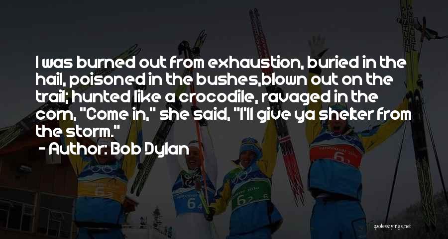 Bob Dylan Quotes: I Was Burned Out From Exhaustion, Buried In The Hail, Poisoned In The Bushes,blown Out On The Trail; Hunted Like