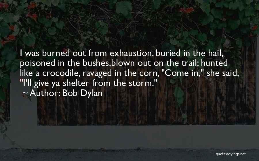 Bob Dylan Quotes: I Was Burned Out From Exhaustion, Buried In The Hail, Poisoned In The Bushes,blown Out On The Trail; Hunted Like