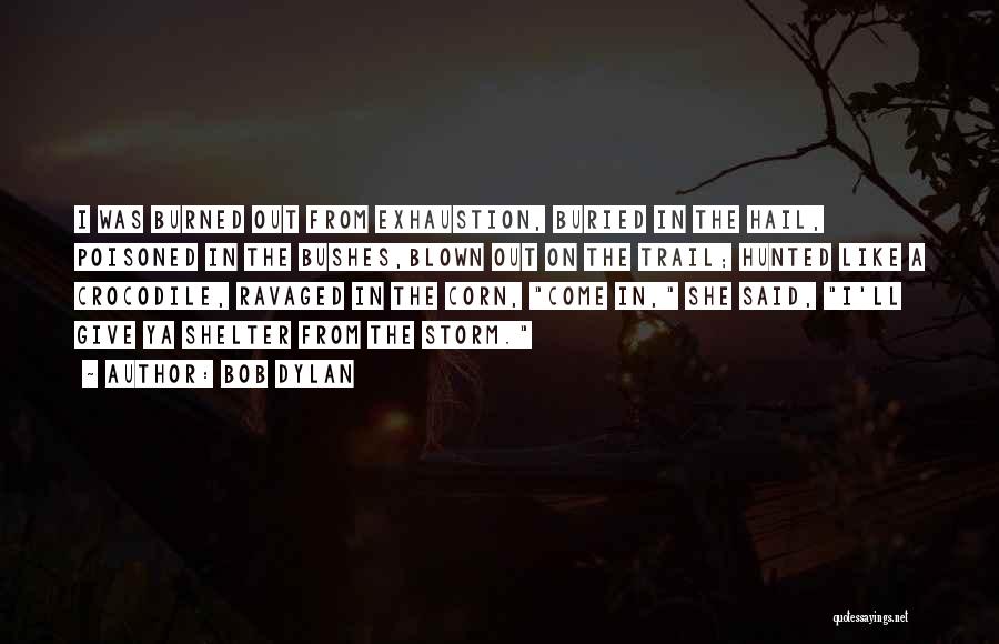 Bob Dylan Quotes: I Was Burned Out From Exhaustion, Buried In The Hail, Poisoned In The Bushes,blown Out On The Trail; Hunted Like