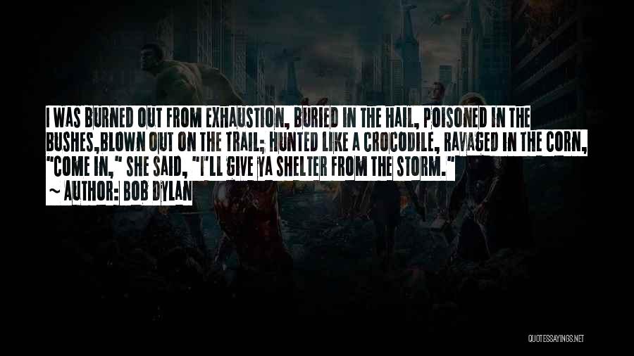 Bob Dylan Quotes: I Was Burned Out From Exhaustion, Buried In The Hail, Poisoned In The Bushes,blown Out On The Trail; Hunted Like
