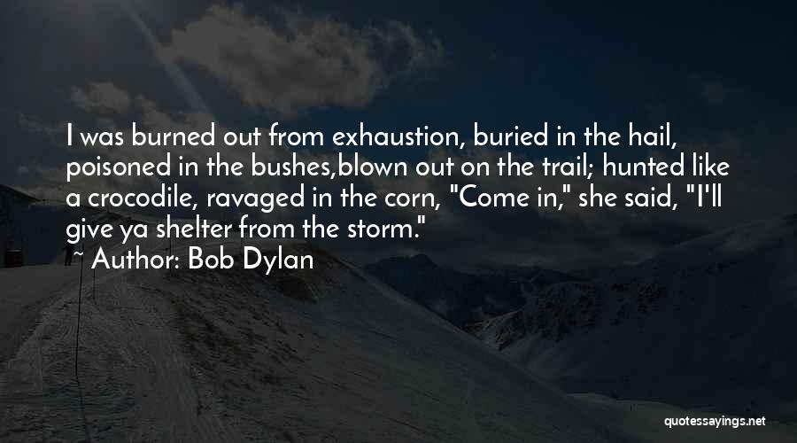 Bob Dylan Quotes: I Was Burned Out From Exhaustion, Buried In The Hail, Poisoned In The Bushes,blown Out On The Trail; Hunted Like