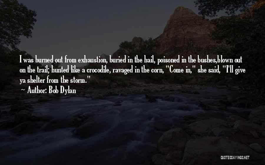 Bob Dylan Quotes: I Was Burned Out From Exhaustion, Buried In The Hail, Poisoned In The Bushes,blown Out On The Trail; Hunted Like