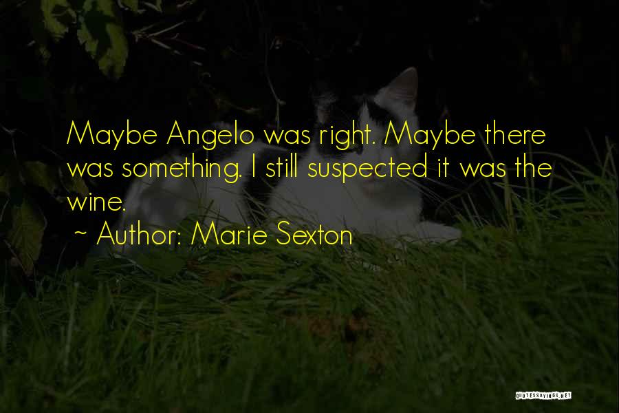 Marie Sexton Quotes: Maybe Angelo Was Right. Maybe There Was Something. I Still Suspected It Was The Wine.