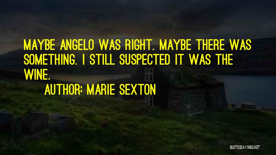 Marie Sexton Quotes: Maybe Angelo Was Right. Maybe There Was Something. I Still Suspected It Was The Wine.