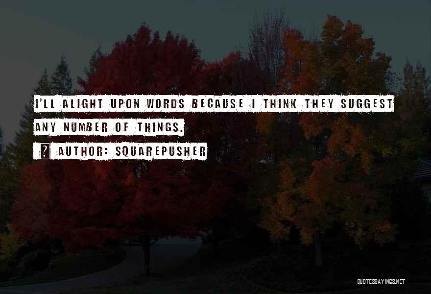 Squarepusher Quotes: I'll Alight Upon Words Because I Think They Suggest Any Number Of Things.