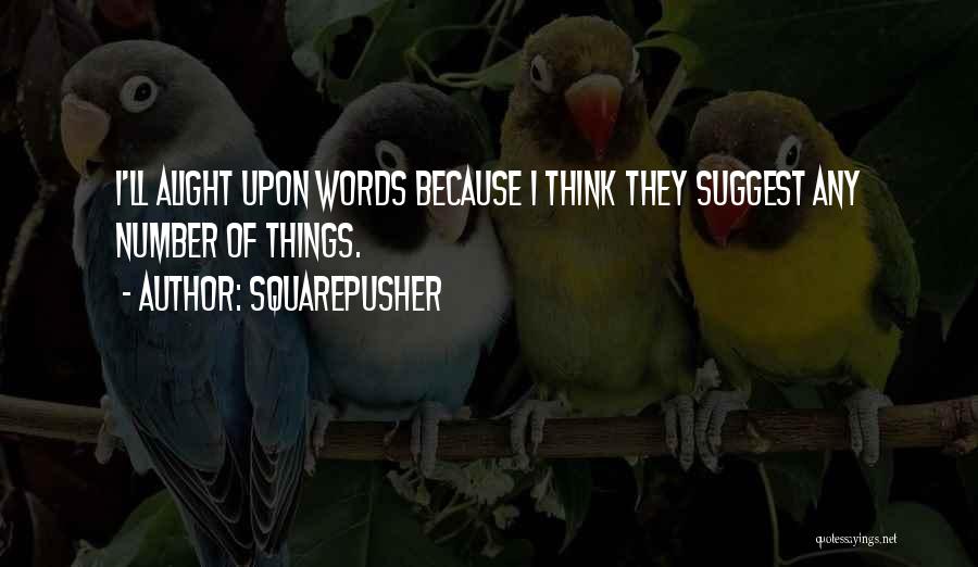 Squarepusher Quotes: I'll Alight Upon Words Because I Think They Suggest Any Number Of Things.