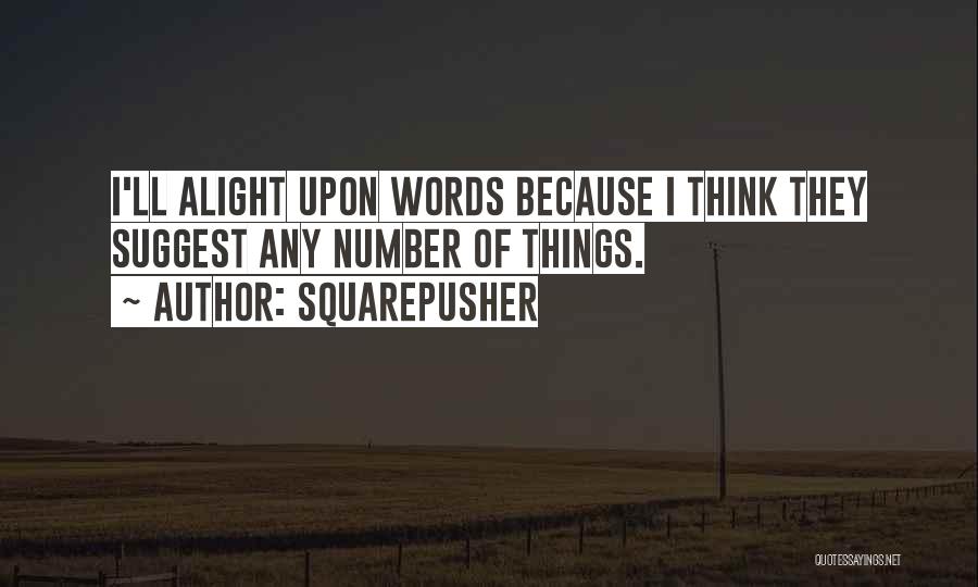 Squarepusher Quotes: I'll Alight Upon Words Because I Think They Suggest Any Number Of Things.