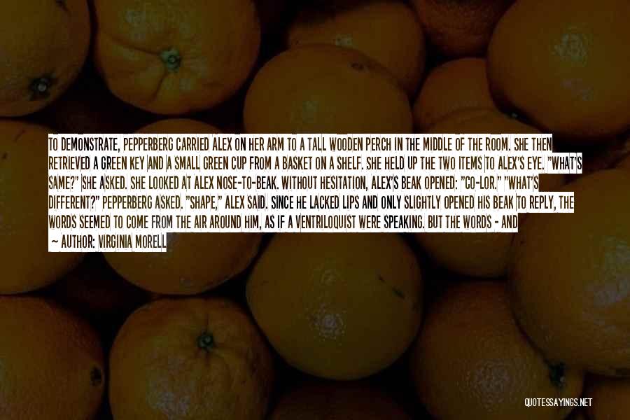 Virginia Morell Quotes: To Demonstrate, Pepperberg Carried Alex On Her Arm To A Tall Wooden Perch In The Middle Of The Room. She