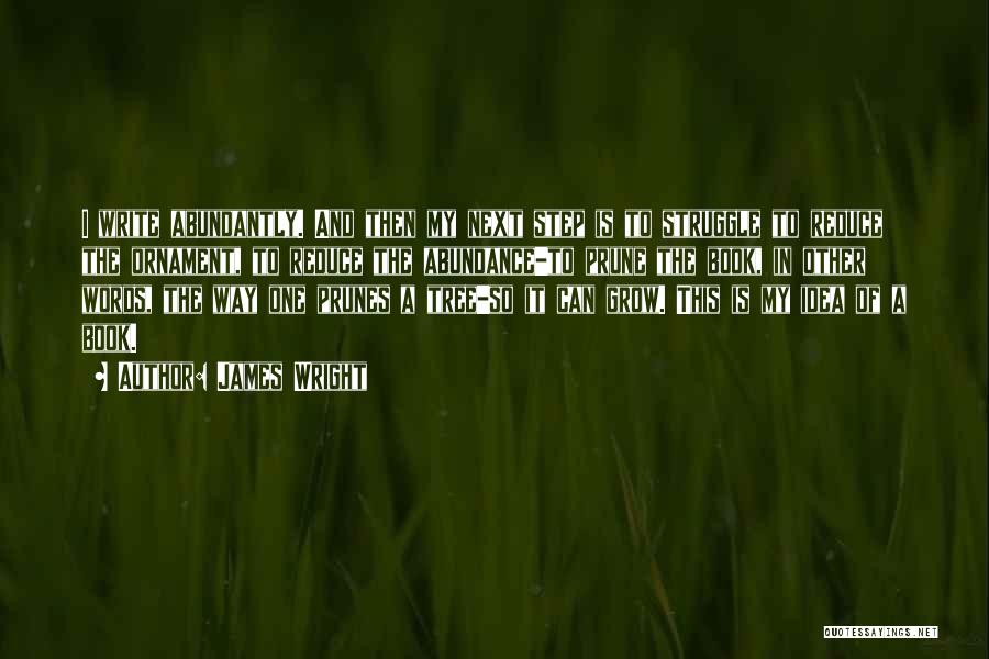 James Wright Quotes: I Write Abundantly. And Then My Next Step Is To Struggle To Reduce The Ornament, To Reduce The Abundance-to Prune