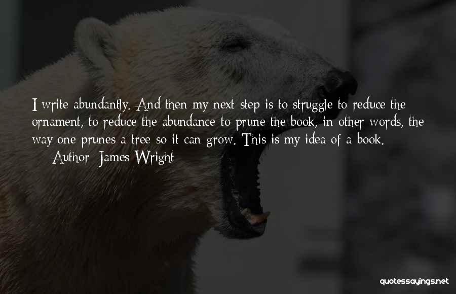 James Wright Quotes: I Write Abundantly. And Then My Next Step Is To Struggle To Reduce The Ornament, To Reduce The Abundance-to Prune