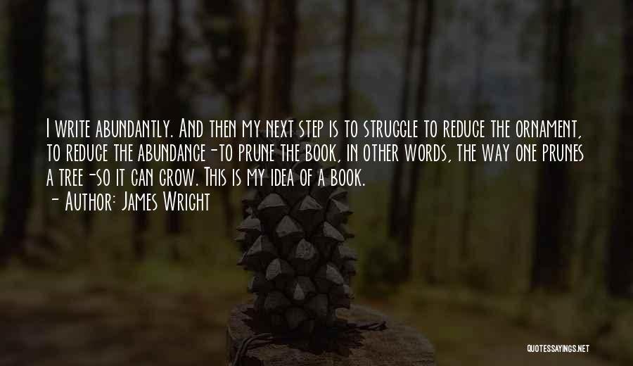 James Wright Quotes: I Write Abundantly. And Then My Next Step Is To Struggle To Reduce The Ornament, To Reduce The Abundance-to Prune