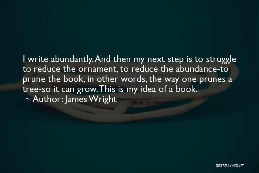 James Wright Quotes: I Write Abundantly. And Then My Next Step Is To Struggle To Reduce The Ornament, To Reduce The Abundance-to Prune