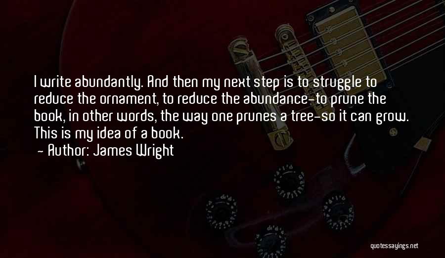 James Wright Quotes: I Write Abundantly. And Then My Next Step Is To Struggle To Reduce The Ornament, To Reduce The Abundance-to Prune