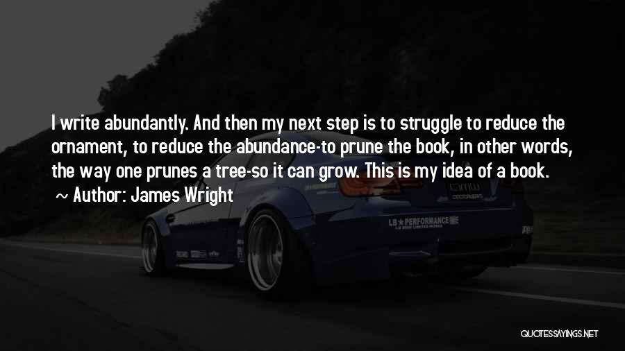 James Wright Quotes: I Write Abundantly. And Then My Next Step Is To Struggle To Reduce The Ornament, To Reduce The Abundance-to Prune