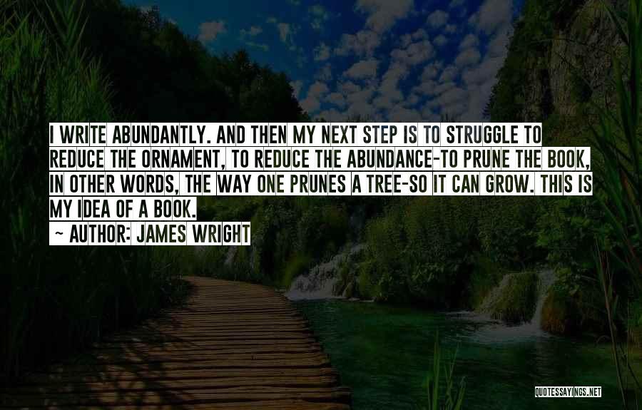 James Wright Quotes: I Write Abundantly. And Then My Next Step Is To Struggle To Reduce The Ornament, To Reduce The Abundance-to Prune