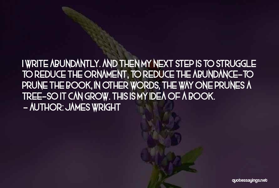 James Wright Quotes: I Write Abundantly. And Then My Next Step Is To Struggle To Reduce The Ornament, To Reduce The Abundance-to Prune