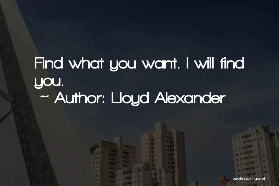 Lloyd Alexander Quotes: Find What You Want. I Will Find You.