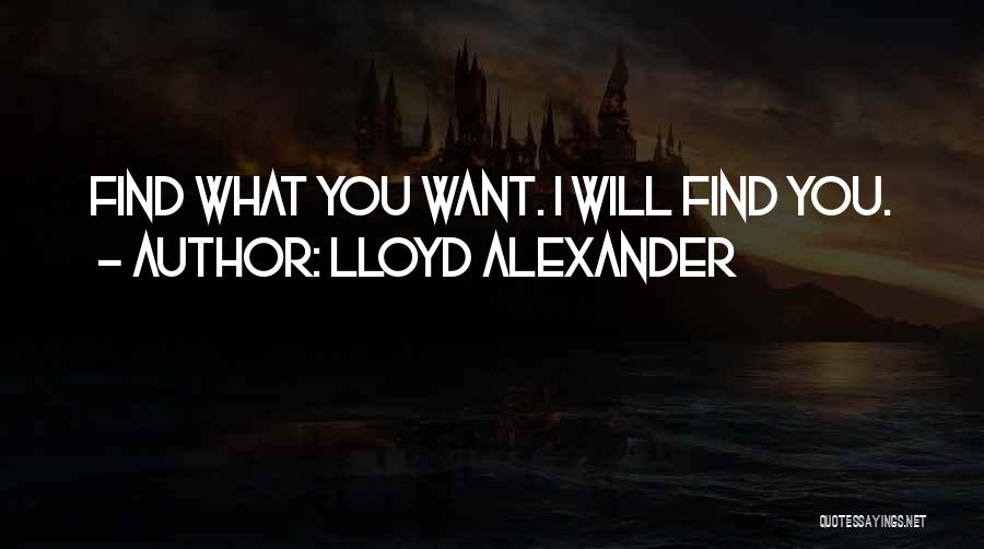 Lloyd Alexander Quotes: Find What You Want. I Will Find You.