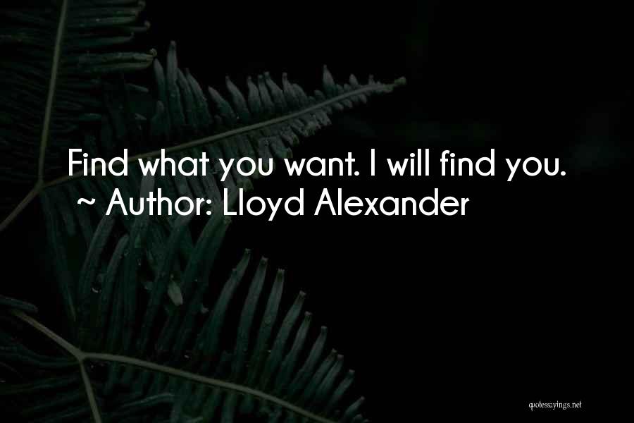 Lloyd Alexander Quotes: Find What You Want. I Will Find You.