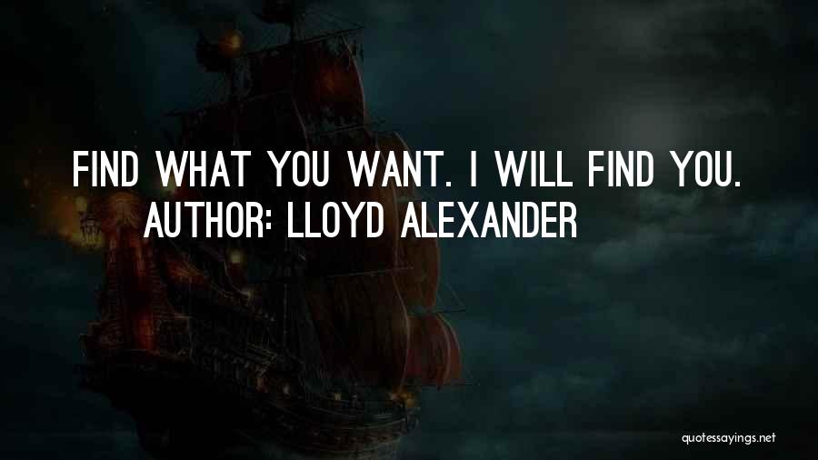 Lloyd Alexander Quotes: Find What You Want. I Will Find You.