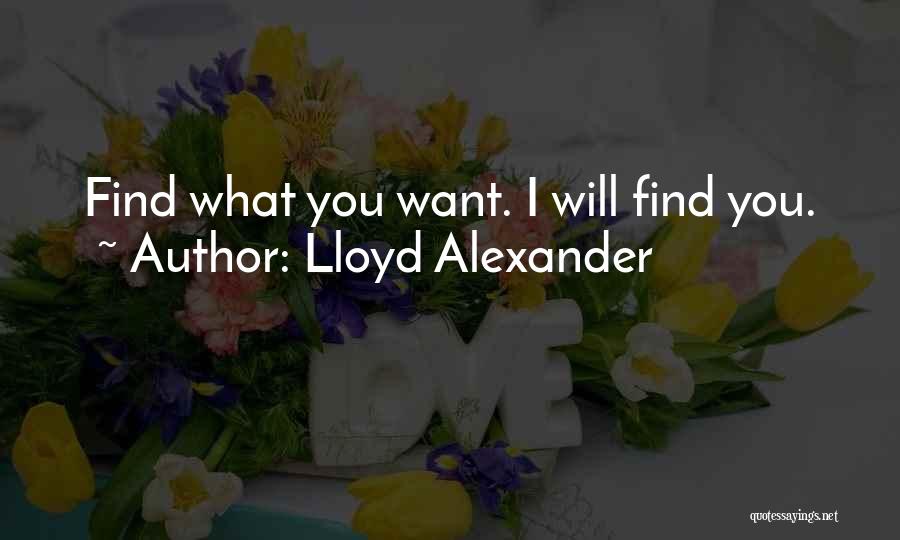 Lloyd Alexander Quotes: Find What You Want. I Will Find You.