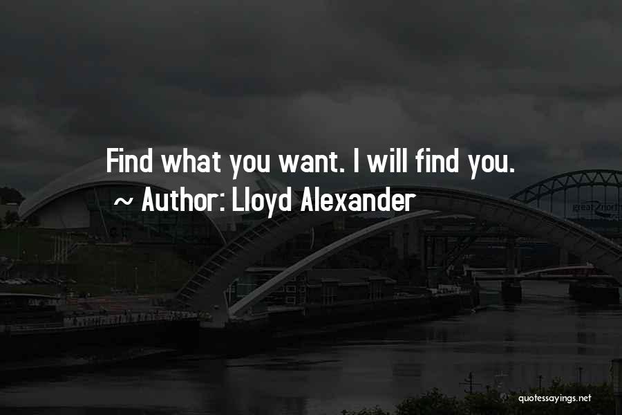 Lloyd Alexander Quotes: Find What You Want. I Will Find You.