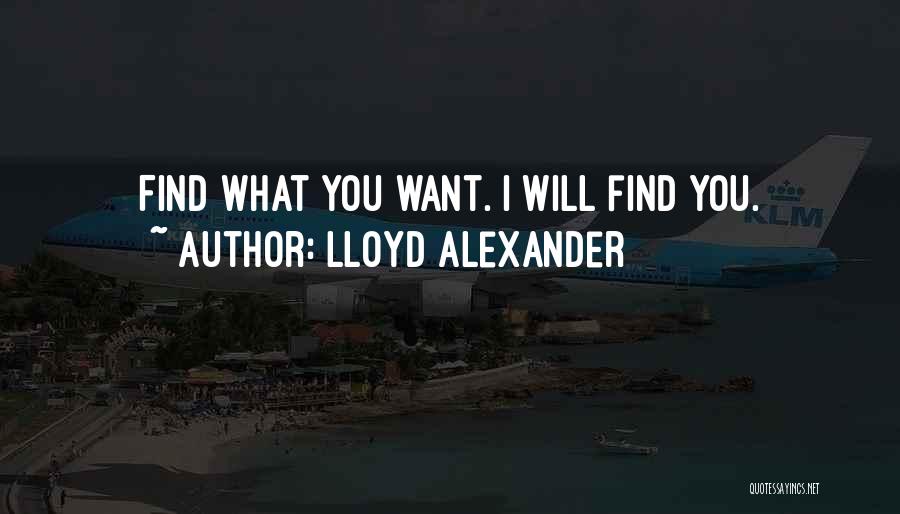 Lloyd Alexander Quotes: Find What You Want. I Will Find You.