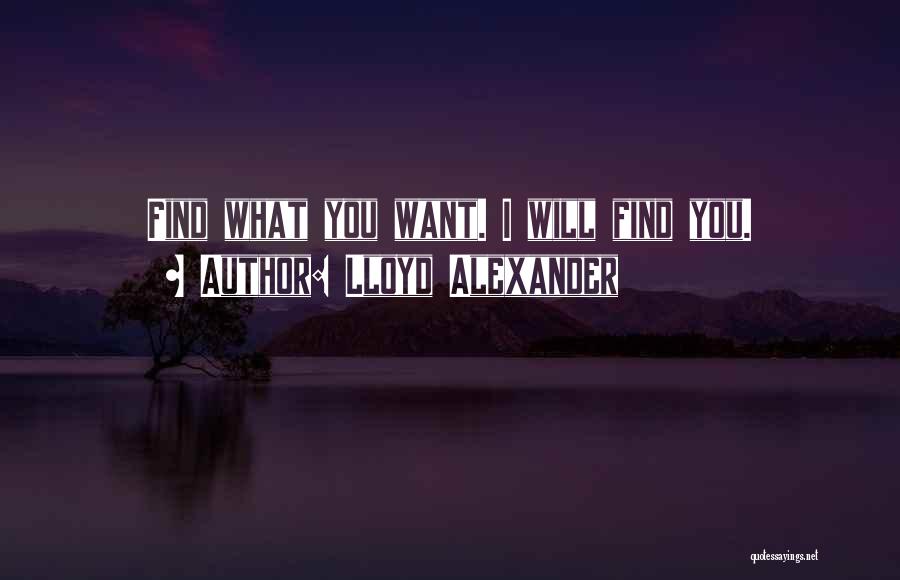 Lloyd Alexander Quotes: Find What You Want. I Will Find You.