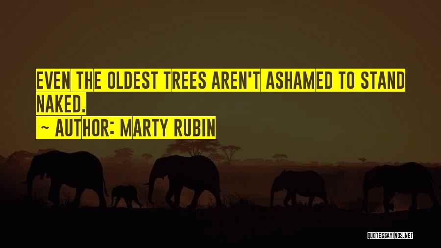 Marty Rubin Quotes: Even The Oldest Trees Aren't Ashamed To Stand Naked.