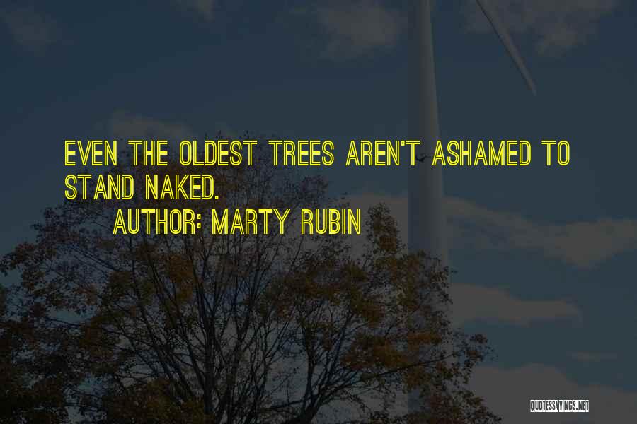 Marty Rubin Quotes: Even The Oldest Trees Aren't Ashamed To Stand Naked.