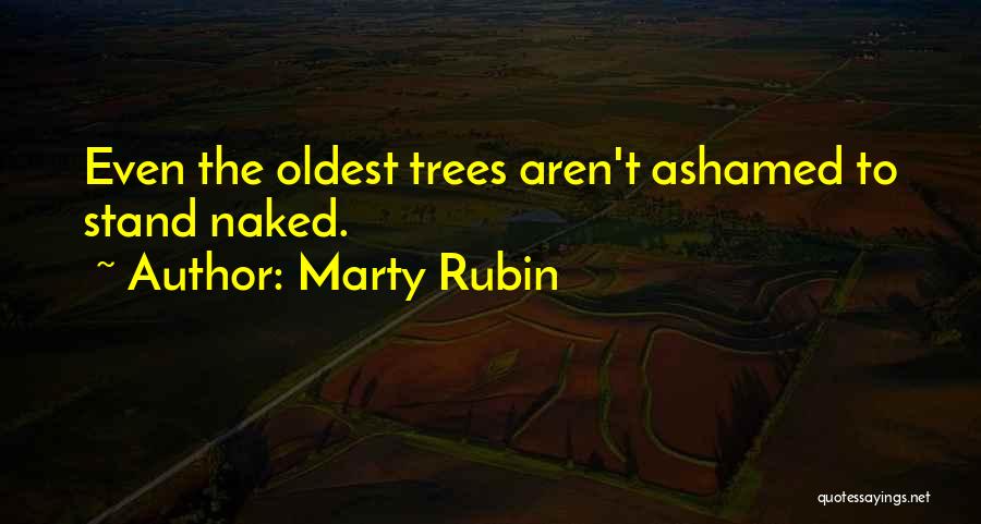 Marty Rubin Quotes: Even The Oldest Trees Aren't Ashamed To Stand Naked.