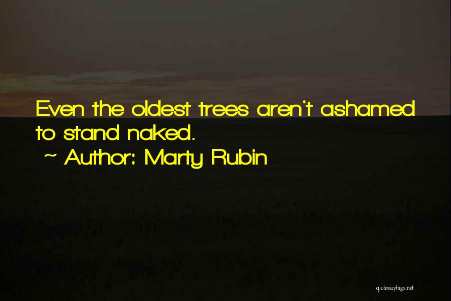 Marty Rubin Quotes: Even The Oldest Trees Aren't Ashamed To Stand Naked.