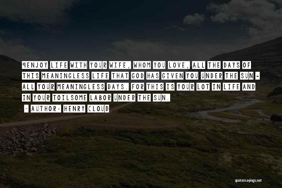 Henry Cloud Quotes: 9enjoy Life With Your Wife, Whom You Love, All The Days Of This Meaningless Life That God Has Given You