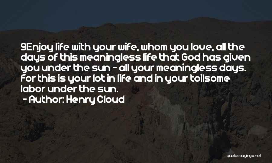 Henry Cloud Quotes: 9enjoy Life With Your Wife, Whom You Love, All The Days Of This Meaningless Life That God Has Given You