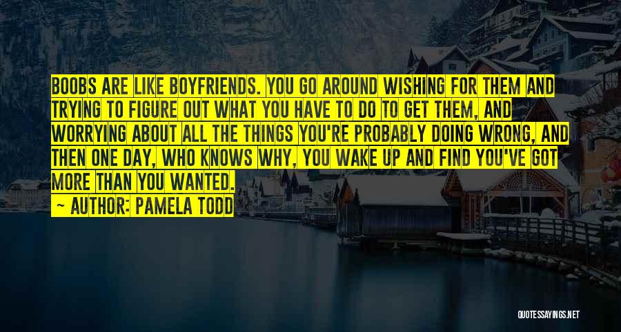 Pamela Todd Quotes: Boobs Are Like Boyfriends. You Go Around Wishing For Them And Trying To Figure Out What You Have To Do