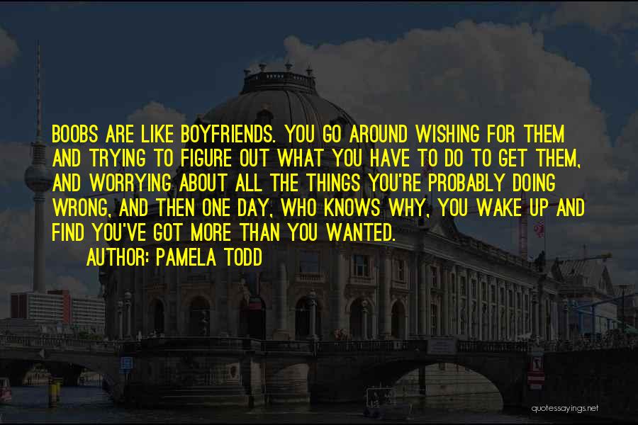 Pamela Todd Quotes: Boobs Are Like Boyfriends. You Go Around Wishing For Them And Trying To Figure Out What You Have To Do