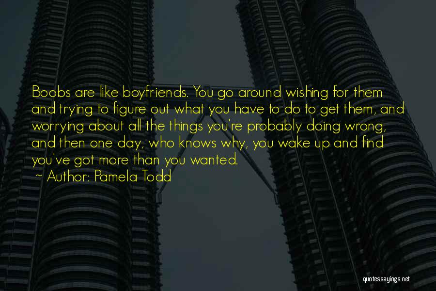 Pamela Todd Quotes: Boobs Are Like Boyfriends. You Go Around Wishing For Them And Trying To Figure Out What You Have To Do