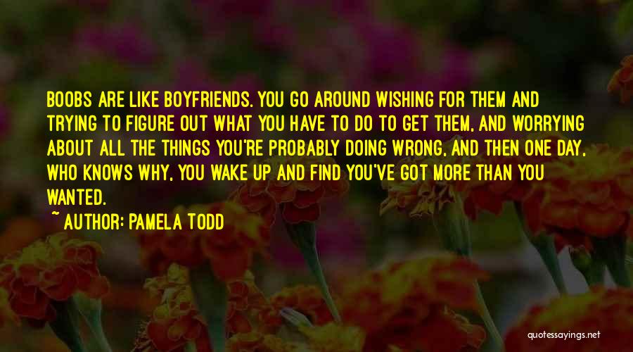 Pamela Todd Quotes: Boobs Are Like Boyfriends. You Go Around Wishing For Them And Trying To Figure Out What You Have To Do