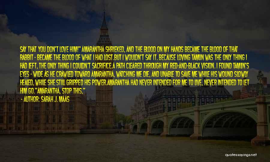 Sarah J. Maas Quotes: Say That You Don't Love Him! Amarantha Shrieked, And The Blood On My Hands Became The Blood Of That Rabbit