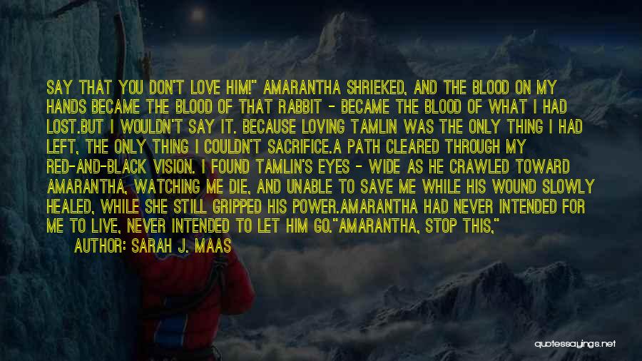 Sarah J. Maas Quotes: Say That You Don't Love Him! Amarantha Shrieked, And The Blood On My Hands Became The Blood Of That Rabbit