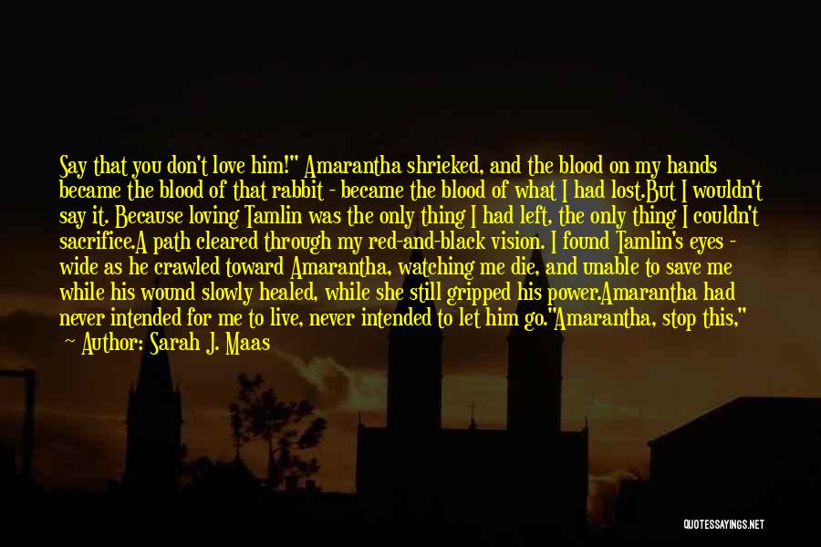 Sarah J. Maas Quotes: Say That You Don't Love Him! Amarantha Shrieked, And The Blood On My Hands Became The Blood Of That Rabbit