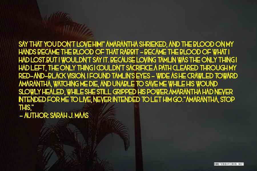 Sarah J. Maas Quotes: Say That You Don't Love Him! Amarantha Shrieked, And The Blood On My Hands Became The Blood Of That Rabbit