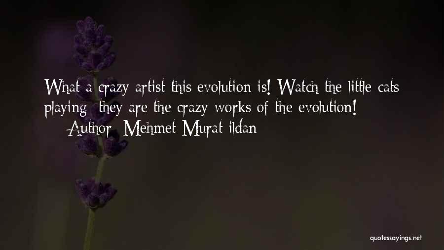 Mehmet Murat Ildan Quotes: What A Crazy Artist This Evolution Is! Watch The Little Cats Playing; They Are The Crazy Works Of The Evolution!