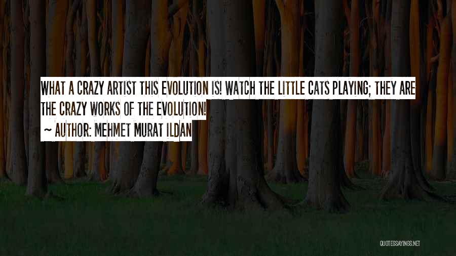 Mehmet Murat Ildan Quotes: What A Crazy Artist This Evolution Is! Watch The Little Cats Playing; They Are The Crazy Works Of The Evolution!