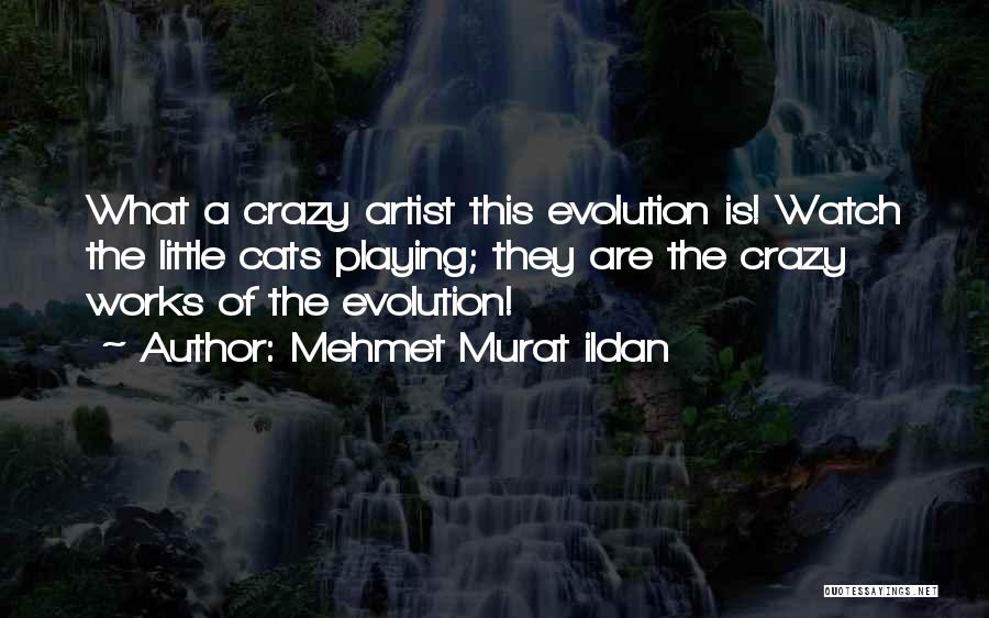 Mehmet Murat Ildan Quotes: What A Crazy Artist This Evolution Is! Watch The Little Cats Playing; They Are The Crazy Works Of The Evolution!