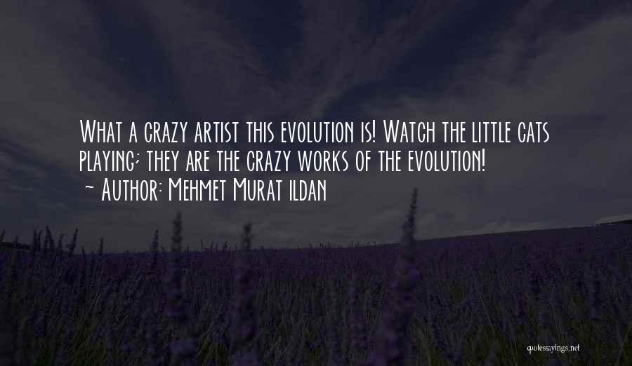 Mehmet Murat Ildan Quotes: What A Crazy Artist This Evolution Is! Watch The Little Cats Playing; They Are The Crazy Works Of The Evolution!