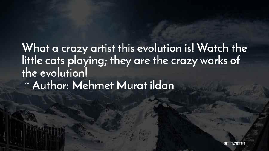 Mehmet Murat Ildan Quotes: What A Crazy Artist This Evolution Is! Watch The Little Cats Playing; They Are The Crazy Works Of The Evolution!