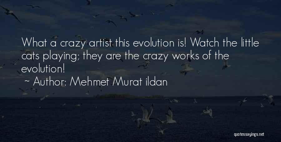 Mehmet Murat Ildan Quotes: What A Crazy Artist This Evolution Is! Watch The Little Cats Playing; They Are The Crazy Works Of The Evolution!