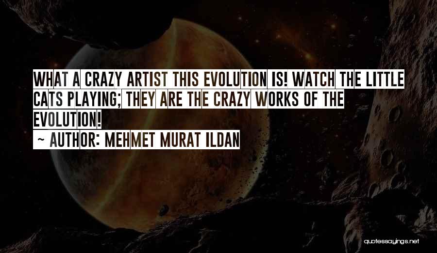 Mehmet Murat Ildan Quotes: What A Crazy Artist This Evolution Is! Watch The Little Cats Playing; They Are The Crazy Works Of The Evolution!