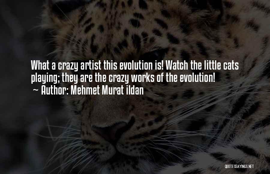 Mehmet Murat Ildan Quotes: What A Crazy Artist This Evolution Is! Watch The Little Cats Playing; They Are The Crazy Works Of The Evolution!